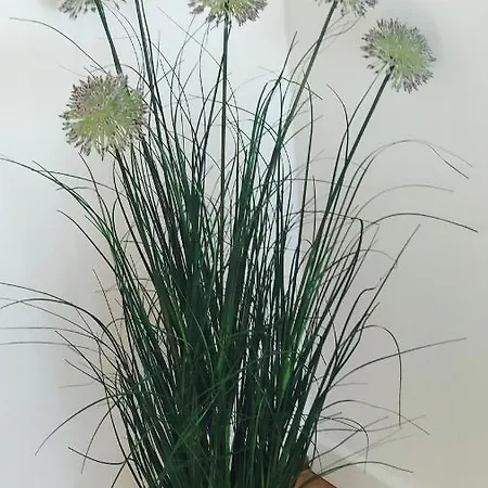 Zeezicht Vanop Het 6 De Verdiep Apartament Oostduinkerke