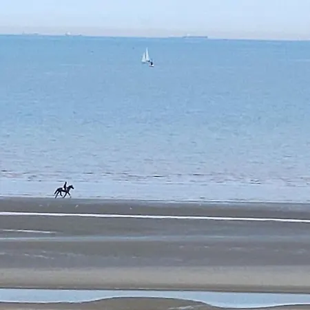 Zeezicht Vanop Het 6 De Verdiep Apartament Oostduinkerke