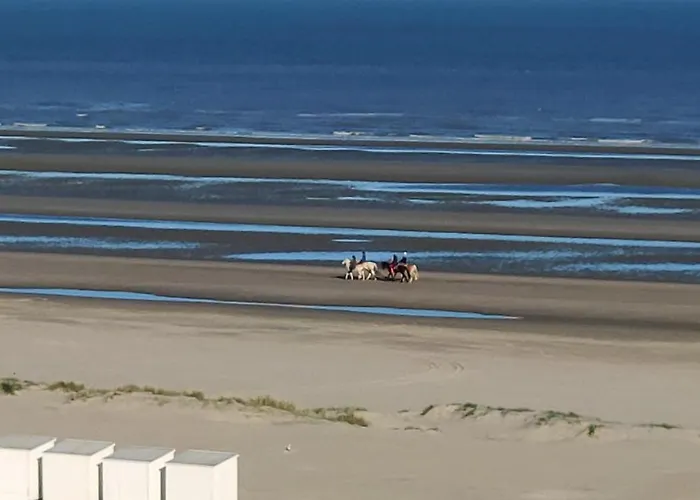 Zeezicht Vanop Het 6 De Verdiep *